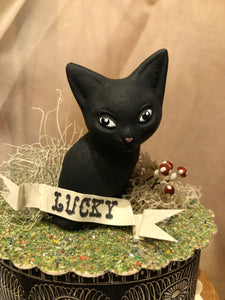 Lucky Black Kitten Box